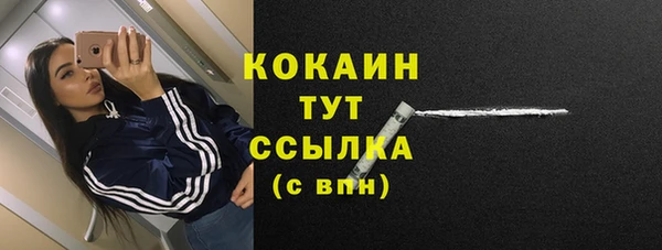 тгк Магадан