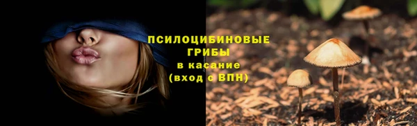 тгк Майский