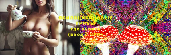 тгк Магадан