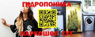 бошки Будённовск