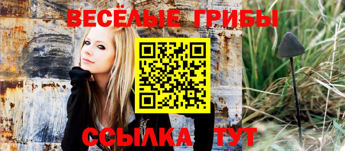 Галлюциногенные грибы Psilocybine cubensis  Псилоцибиновые грибы Magic Shrooms  Шатура  Вход с VPN 