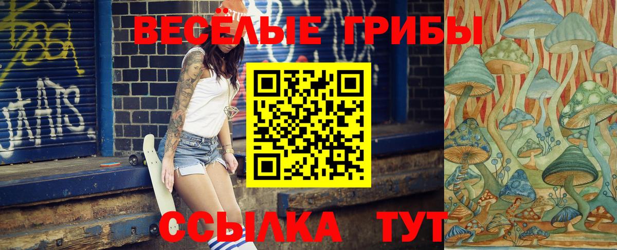 Галлюциногенные грибы Psilocybine cubensis Шатура