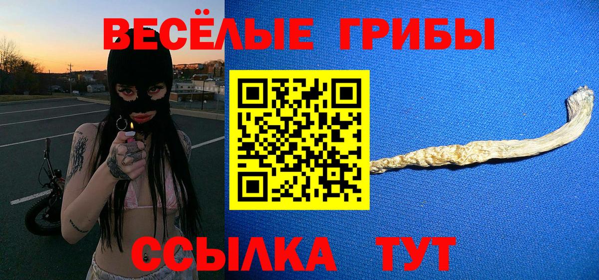 Псилоцибиновые грибы прущие грибы  закладки  Шатура 