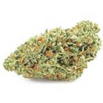 Шишки OG Kush  (Гидропоника, бошки) VHQ в Шатуре